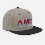 AMES BILLIARDS - Snapback Hat