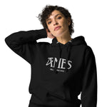 AMES BILLIARDS NYC - Embroidered Premium Unisex Hoodie