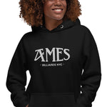 AMES BILLIARDS NYC - Embroidered Premium Unisex Hoodie