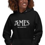 AMES BILLIARDS NYC - Embroidered Premium Unisex Hoodie